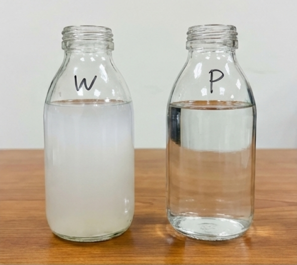 PVA 水瓶照片